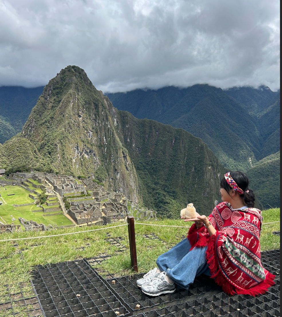 Guiado Privado en Machu Picchu - Imagen 7