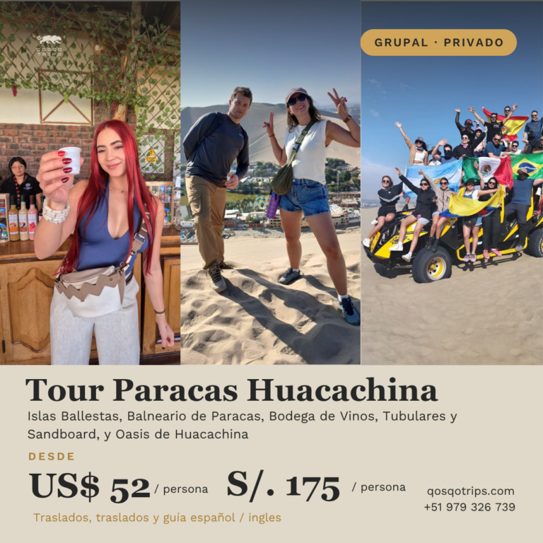 Full Day Paracas and Ica tour